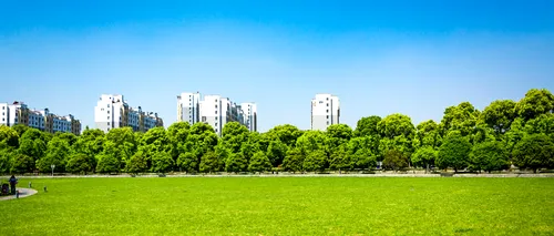 (P) Asociația BREC propune administrațiilor din București o dezbatere publică asupra spațiilor verzi