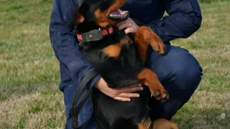 GALERIE FOTO | Cele mai îndrăgite ,,jandarmerițe” ale Inspectoratului de Jandarmi Județean Arad