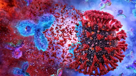 Răceala obișnuită ar putea fi arma secretă împotriva COVID-19! Explicațiile specialiștilor