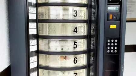 Un român, revenit în țară după patru ani petrecuți în Suedia, a amplasat un AUTOMAT de ouă în Satu Mare