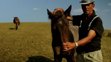 Ultima zi a Festivalului de Film PELICAM, de la Tulcea. Cum au 