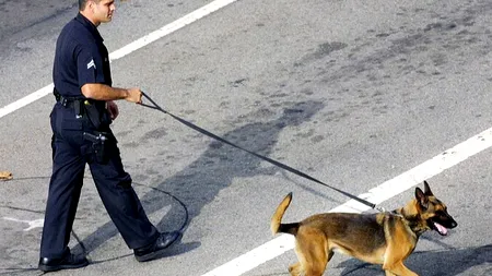 Câinii-polițiști din Los Angeles, antrenați să muște doar afro-americani și latino-americani