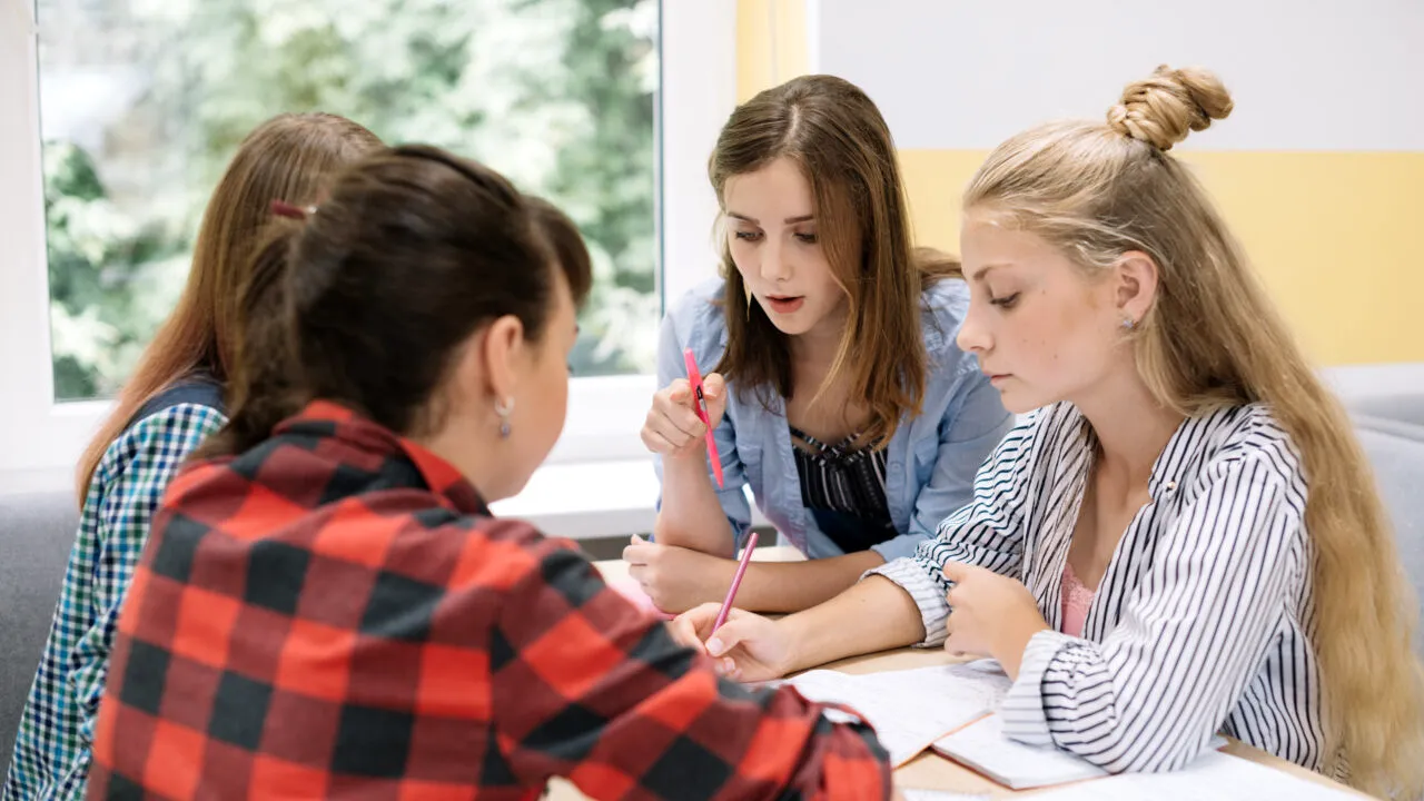 Limba română: Ce înseamnă termenul „Elucubrație”