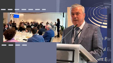 Rolul statelor din Europa Centrală și de Est și rolul României în întărirea competitivității Uniunii Europene - Policy Paper