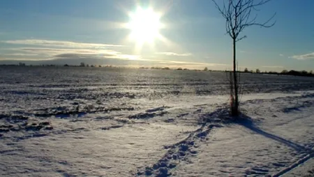 SOLSTIȚIUL DE IARNĂ 2013. Avem cea mai lungă noapte din an