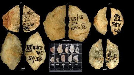 Oamenii de știință suedezi au descoperit că primii oameni vânau cu otravă acum 60.000 de ani