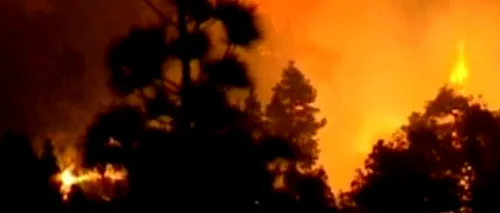 Un mort și mii de hectare de pădure arse, după ce un german a dat foc unei hârtii igienice, în Insulele Canare