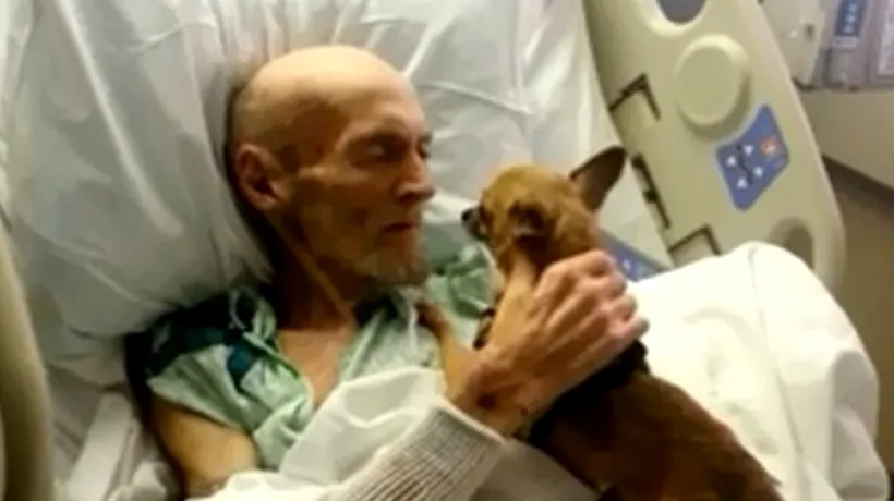 Ce s-a întâmplat cu un bătrân aflat pe patul de spital, după ce și-a văzut câinele. Nimeni nu s-a putut abține să nu plângă