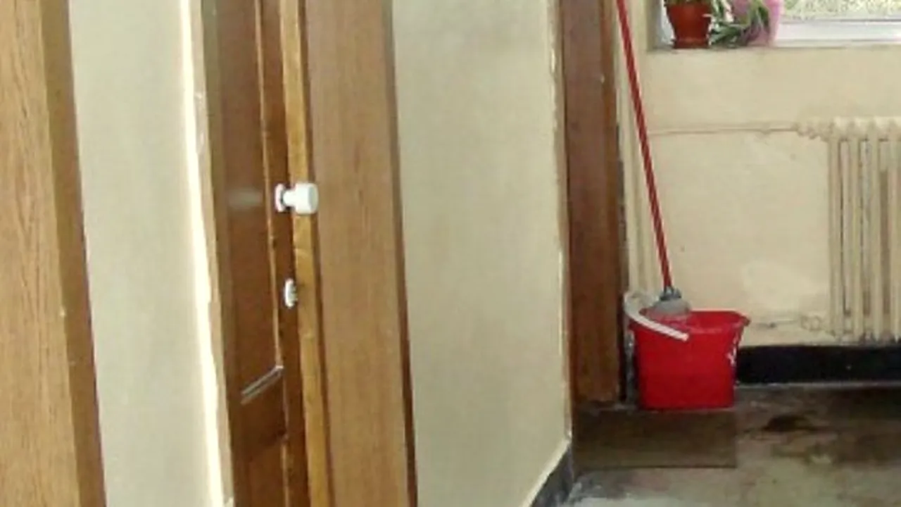 BAC 2013. Metoda de copiat „TOALETA