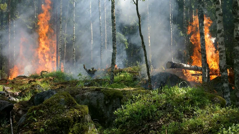 Un german a fost arestat în Spania pentru că a provocat intenționat șapte incendii de vegetație