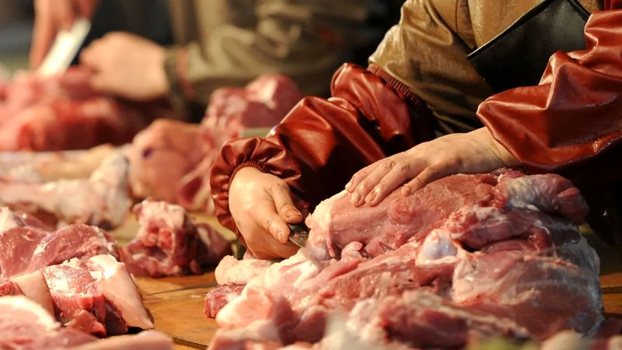 AFP: Lasagna cu carne de cal, un scandal european care se întinde de la Londra la București