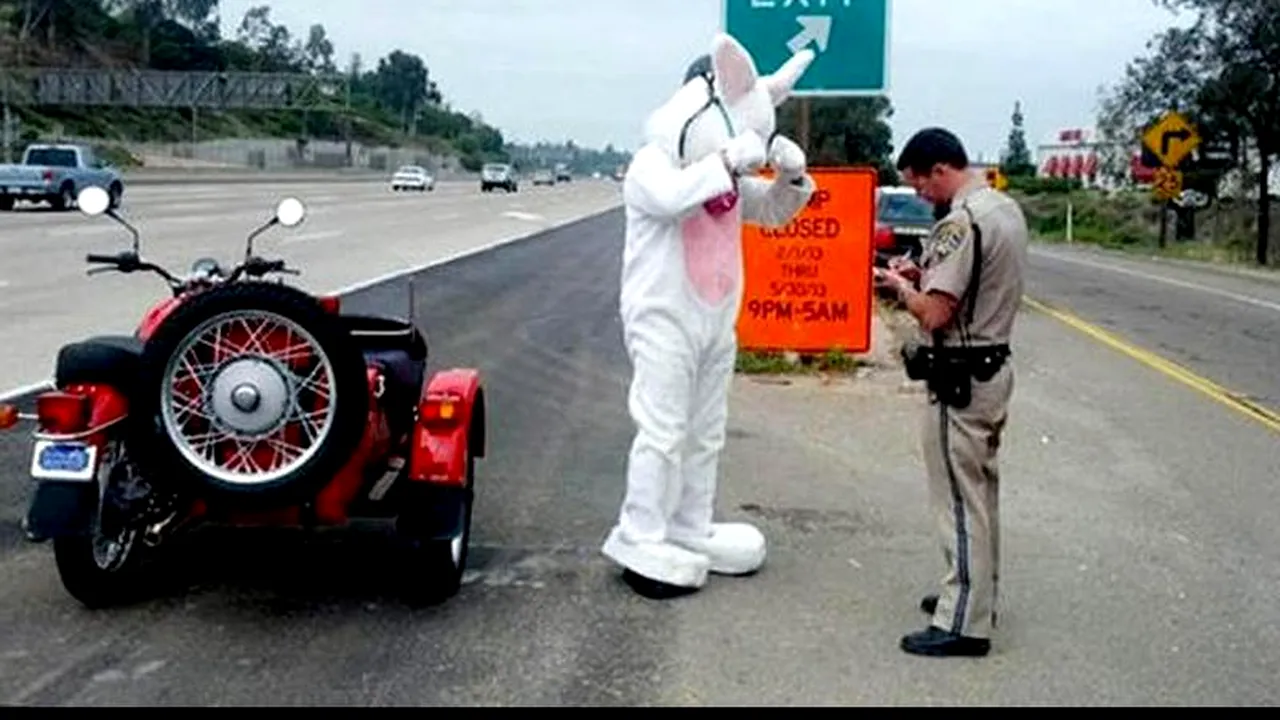 GALERIE FOTO. „Iepurașul de Paște