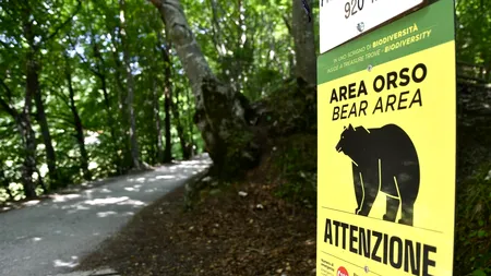 Problema URȘILOR depășește granițele României. Împușcarea unui exemplar în ITALIA scandalizează activiștii pentru drepturile animalelor