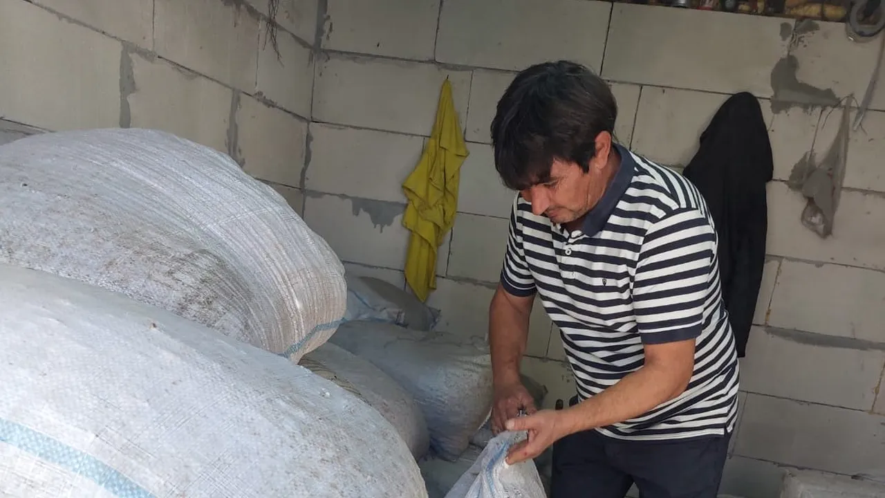 Soluția fabuloasă găsită de un fermier oltean, din cauza costurilor mari la încălzire. A trecut centrala pe… coji de nucă!