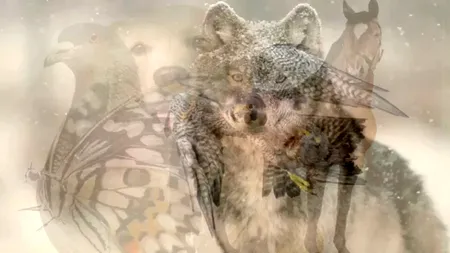 Test psihologic | Ce animal vezi în această fotografie? Răspunsul îți va spune cum ești, de fapt, într-o relație
