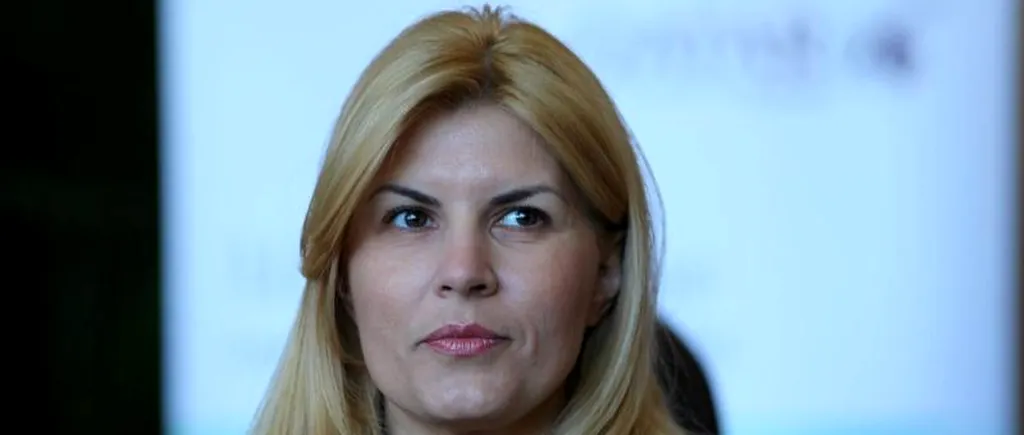 Elena Udrea, așteptată luni în instanță