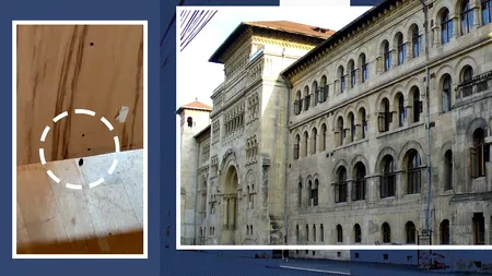 Studenții de la Arhitectură, invadați de ploșnițe. Au făcut o petiție online și cer o dezinsecție completă: 