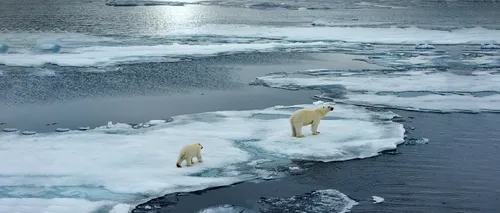 Studiu: Încălzirea regiunii arctice este responsabilă pentru valurile de frig din Europa