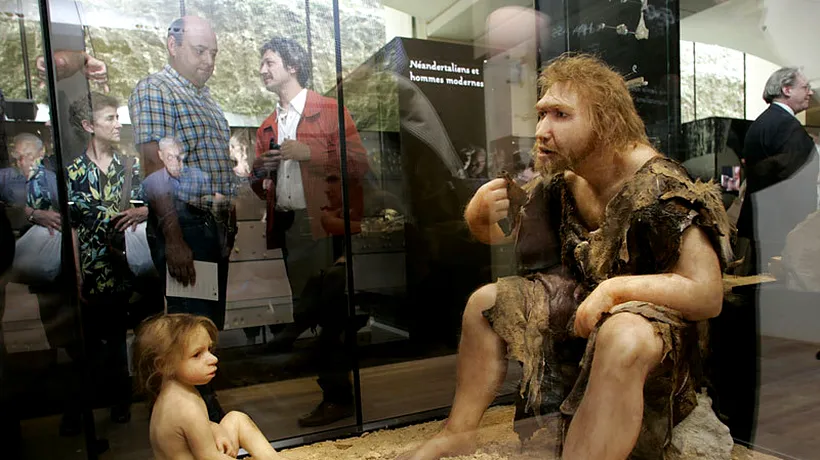 Omul de Neanderthal mânca cereale și se trata cu plante medicinale - STUDIU