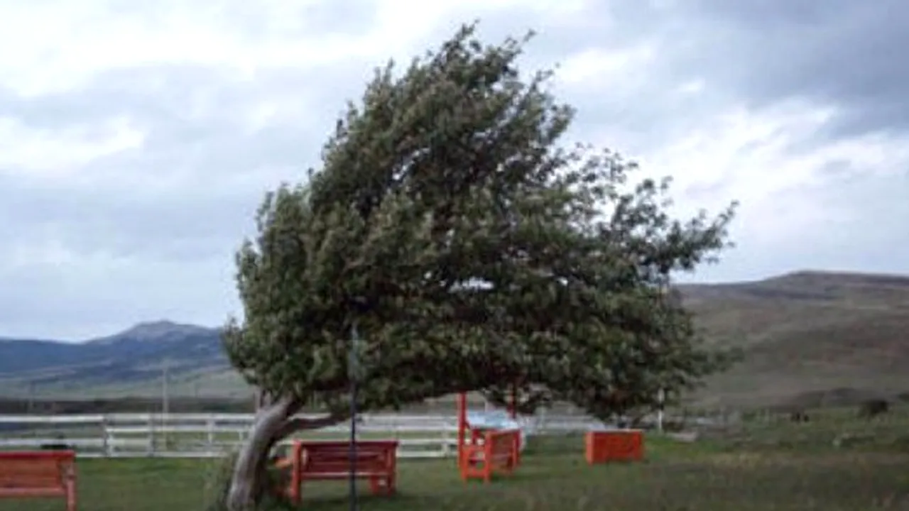 Pene de curent și trafic aerian perturbat în Bulgaria, din cauza rafalelor puternice de vânt