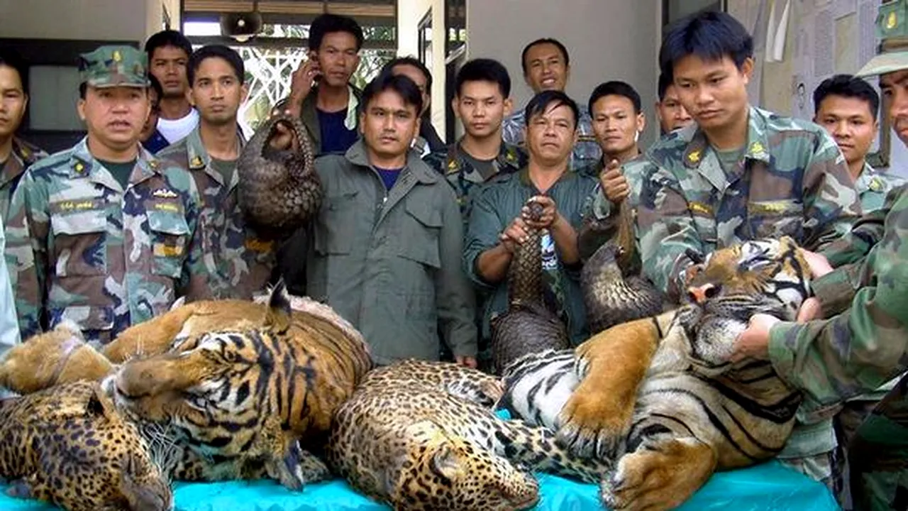 COVID-19. Comerțul cu carnea animalelor sălbatice însă există în Asia. Oamenii sunt speriați că ar putea lua naștere un nou virus mortal FOTO