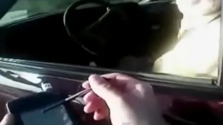 Polițist agresat de o maimuță în timp ce dădea o amendă. VIDEO