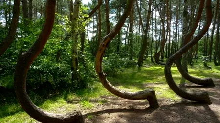 Cele mai stranii locuri din România. Unde se află muntele care l-a inspirat pe Jules Verne să scrie un roman memorabil