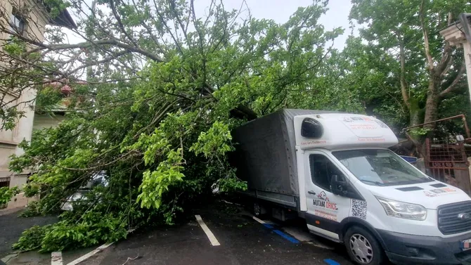 Încă un copac s-a prăbușit în București. A căzut peste patru mașini parcate și a rupt o țeavă de gaze