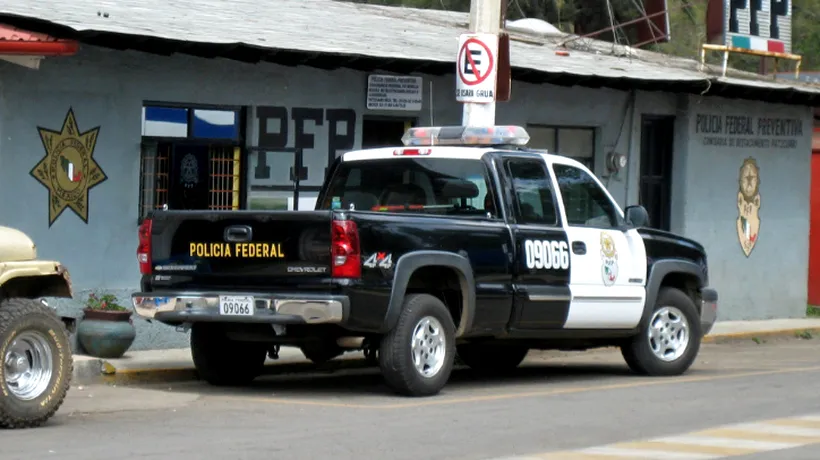 Cinci bărbați decapitați, găsiți într-o mașină în Veracruz. Ce scria pe capota autoturismului