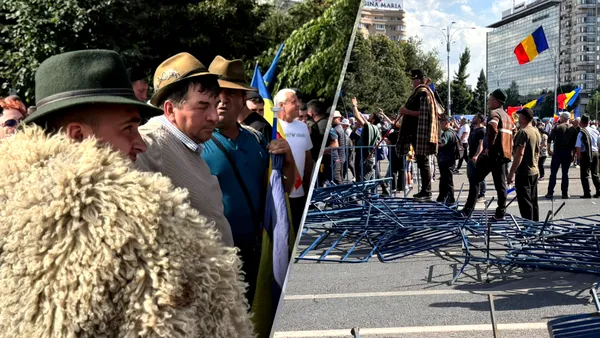 Oierii au depus la Guvern o listă cu 16 revendicări. Ce solicitări au crescătorii de ovine