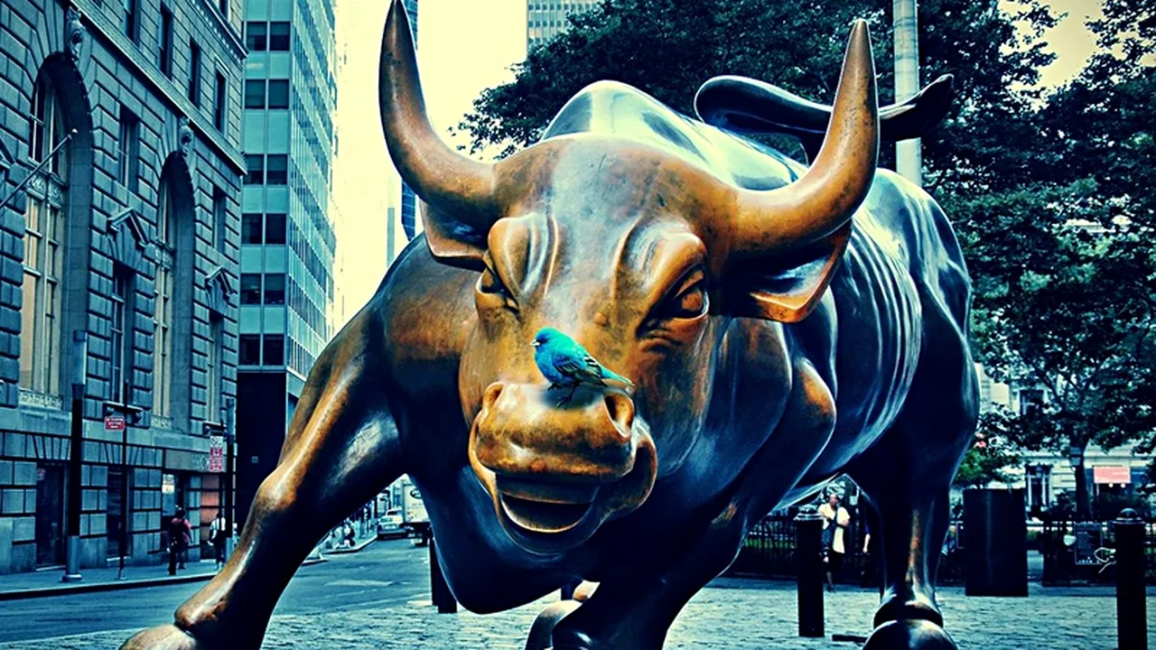 Cum a evoluat piața ofertelor publice inițiale în 2014