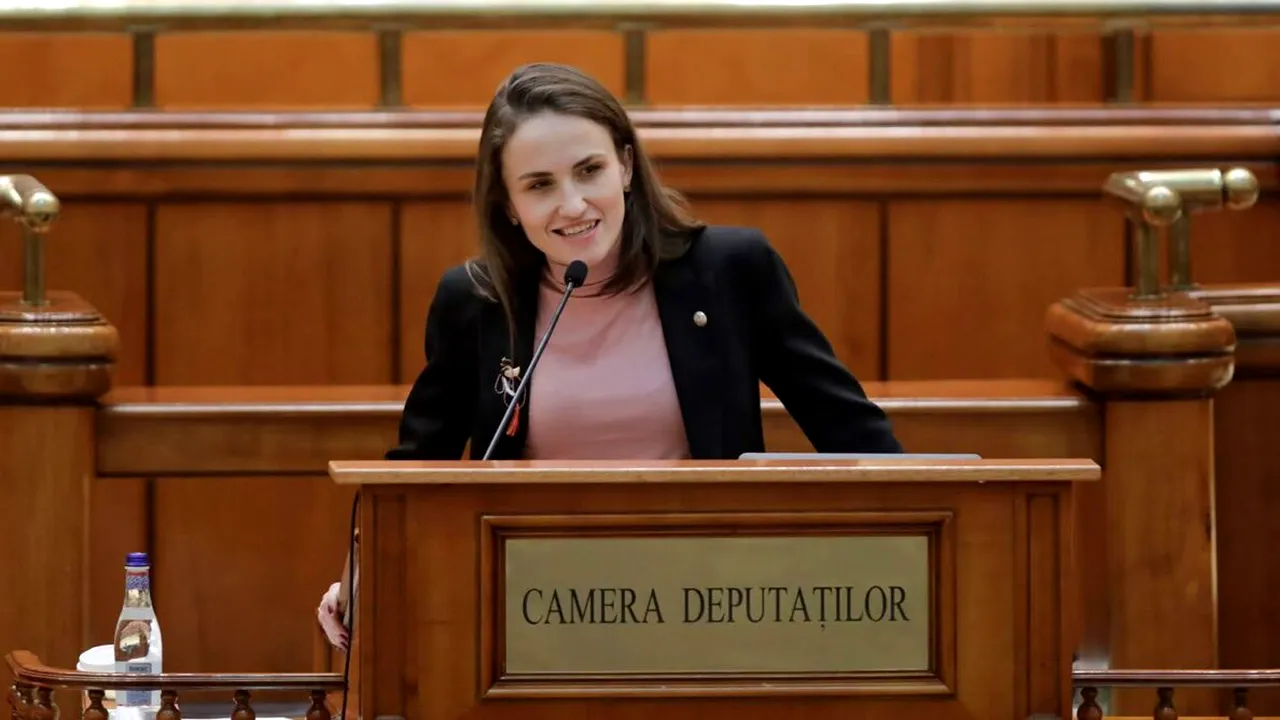 Oana Ţoiu comentează verdictul CCR: 