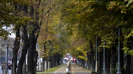 RELAXARE. O țară europeană cu o situație ca a României vrea să deschidă  parcurile de luni