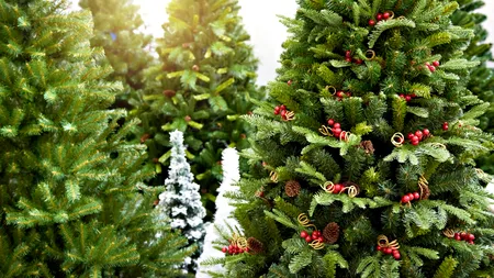 Brazi confecționați de artiști, scoși la licitație în sprijinul copiilor nevoiași. Pentru 39% dintre ei, Crăciunul este o sărbătoare de LUX