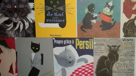 Cele mai neobișnuite muzee pe care le poți vizita în Amsterdam