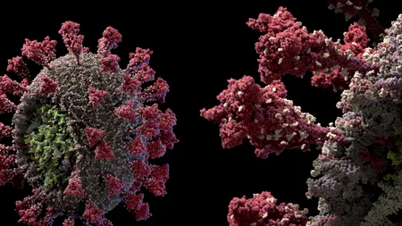 Vicepreședintele Societății Române de Epidemiologie, avertisment referitor la SARS-CoV-3: „Un coșmar care ar putea deveni realitate în România”