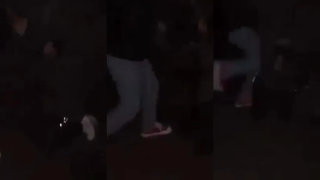 VIDEO | Fată de 11 ani snopită în bătaie într-un parc din Timișoara. Agresiunea a fost filmată