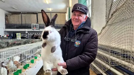 Un fermier din Alba a dat lovitura cu ”Uriașul de Transilvania”. Cât costă un exemplar din gigantul de 9 kilograme premiat la expoziții internaționale