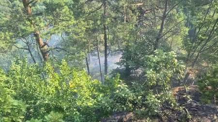 ARDE o pădure din Băile Olănești. Pompierii din Vâlcea nu pot ajunge cu autospecialele pe munte, fiind solicitat în ajutor un elicopter din București
