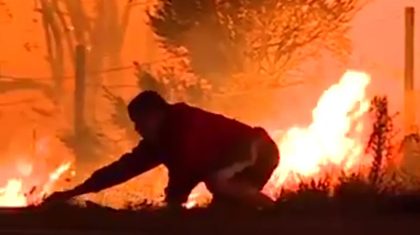 Imagini emoționante surprinse în infernul din California. Gestul unui bărbat demonstrează că fiecare viață salvată contează. VIDEO
