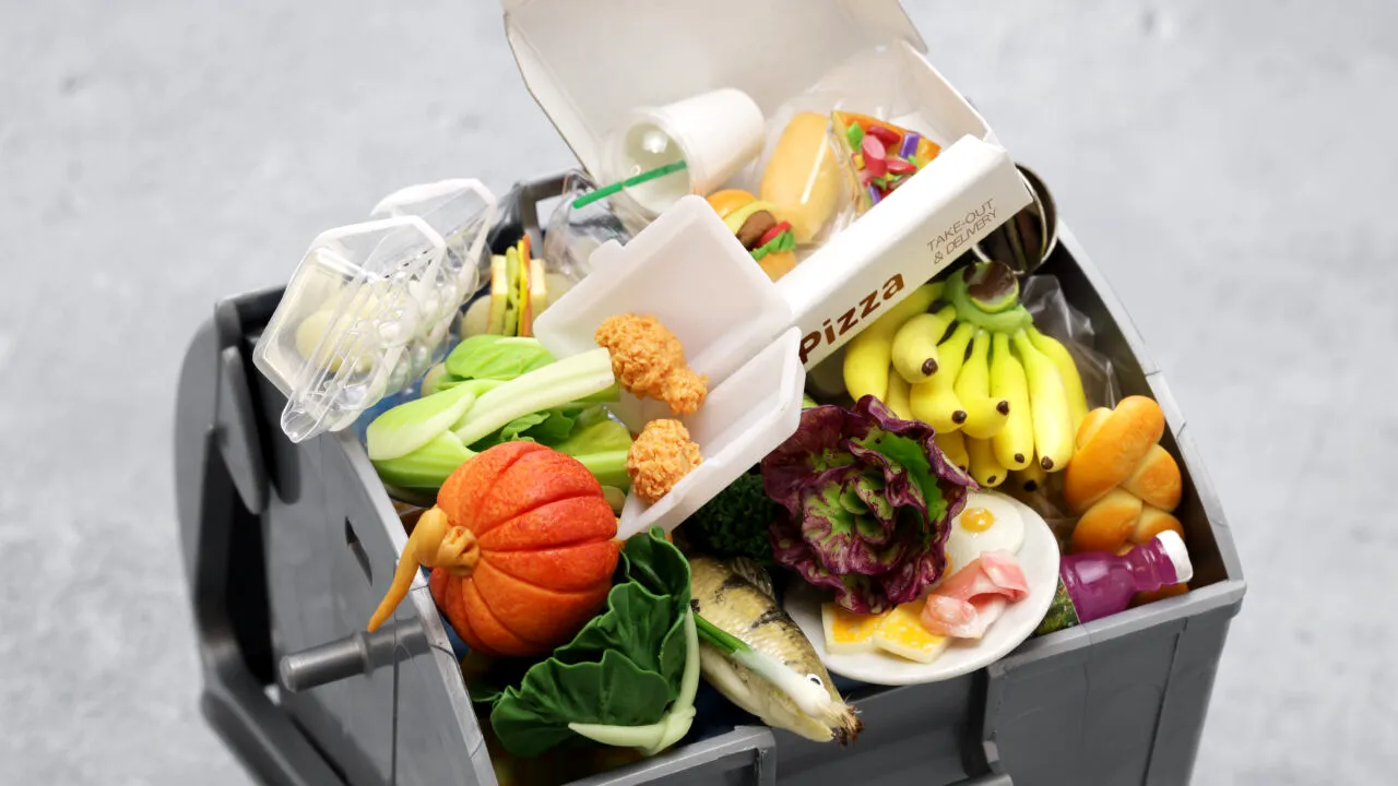 SALUBRIZARE 5: Ce este colectarea selectivă în HoReCa. Cum se realizează corect (P)