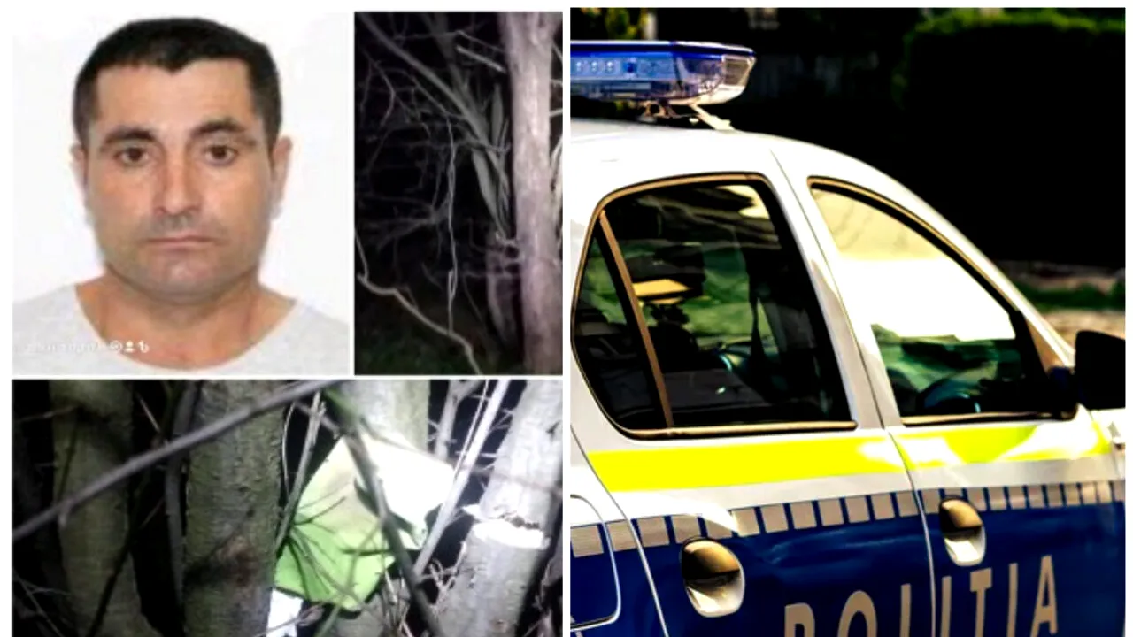 Ionel a dispărut fără urmă acum trei zile, într-un sat din Mehedinți. Ce au găsit vecinii într-un copac