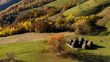 Stațiunea din România care RENAȘTE primăvara! „Raiul ascuns între munți” se află la doar 39 km de Brașov, la poalele Bucegilor