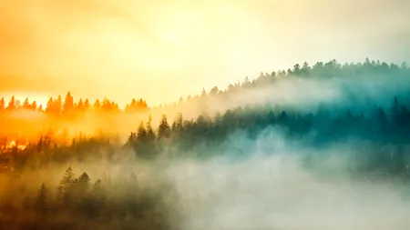 Avertizare meteo: Ceață densă și polei în mai multe zone ale țării