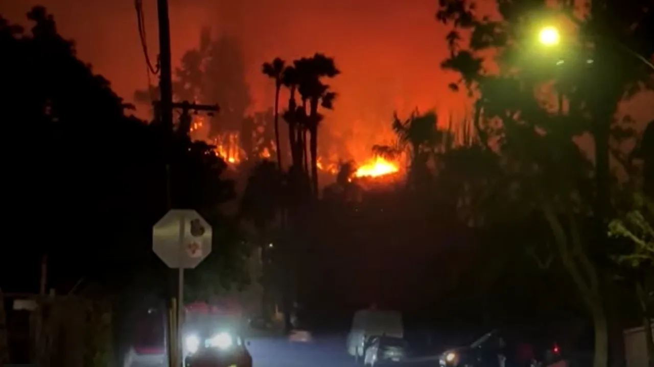 O fostă actriță a murit în incendiile devastatoare din Los Angeles. Dalyce Curry avea 95 de ani și a jucat în „Blue Brothers”