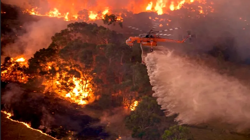Catastrofă declanșată de oameni sau de cauze naturale? Peste 180 de persoane din Australia au fost acuzate că au produs incendii în mod intenționat de la începutul „sezonului de foc / „Schimbările climatice au făcut diferența dintre a arunca un chibrit aprins în apă și a-l arunca în benzină