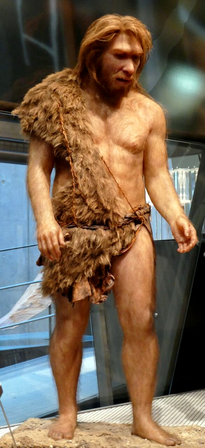 Oamenii de Neanderthal au trăit în Europa și Orientul Apropiat acum 200.000 ani. Specia lor a dispărut acum 30.000 ani, din motive încă necunoscute. Sursa Foto- Profimedia 