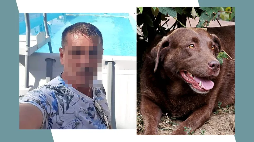 Hunedoreanul acuzat că a AGRESAT un câine ar putea fi judecat pentru zoofilie. ”Tot ce a dovedit el a fost sfidare și nepăsare”