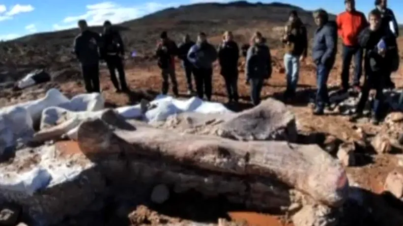 A fost descoperit scheletul unui dinozaur de 60 de tone. Doar gâtul său avea 26 de metri