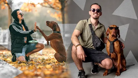 Buddy, câinele care a uimit internetul. Livrează colete, le duce flori doamnelor și domnișoarelor și își ajută stăpânul la cumpărături